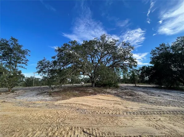 0 NE 100th Ave, Bronson, FL 32621