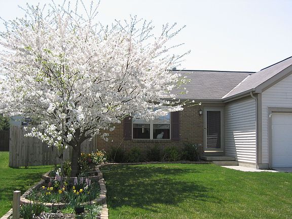 2nd image of 2493 Altenburg Ct