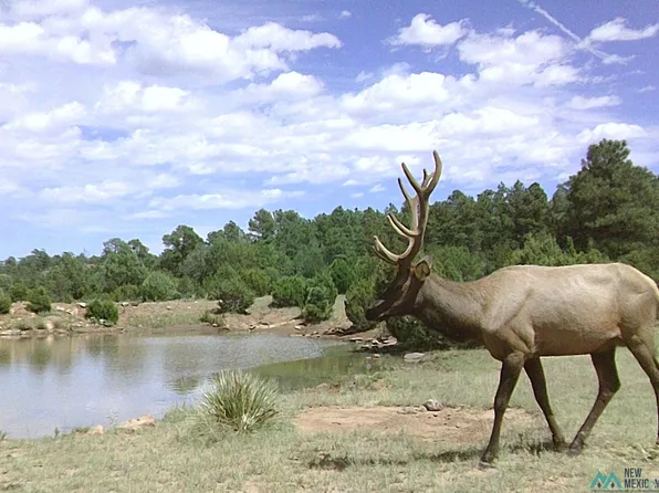 2 County Road 51, Las Vegas, NM 87701