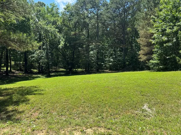 0 Beech Ln, Buchanan, TN 38222