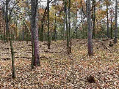 6.17 Acres TOWNLINE ROAD, Wisconsin Rapids, WI, 54494