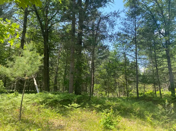 M M W 72nd Hwy, Grayling, MI 49738