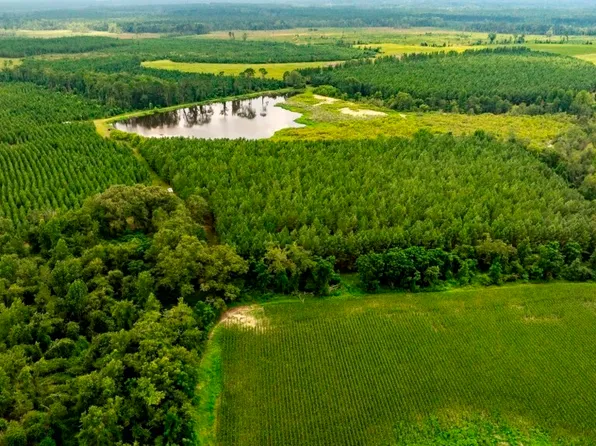 0 Canoochee Rd, Cobbtown, GA 30420