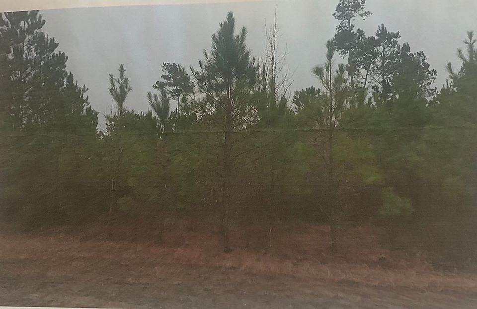 2nd image of Land