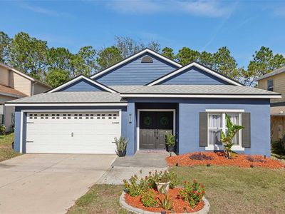 1404 Longville Cir, Tavares, FL, 32778