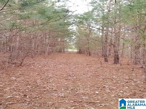 3rd image of Boathouse Cir Lot 113