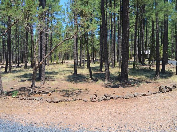 5th image of 163 Elk Dr