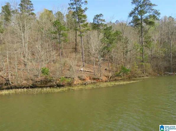 21 Eagle Point Trce, Rockford, AL 35136