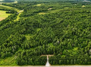 20 Acres Adams Road, Bruce, WI 54819
