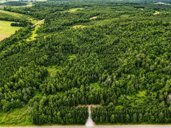 20 Acres Adams Road, Bruce, WI 54819