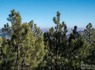 2091 Magnolia Dr, Nederland, CO 80466