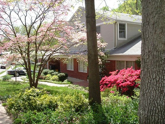 3438 Fr Yard Dogwoods