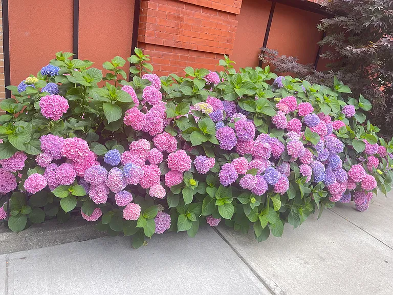 152 Sherman Ave — Photo 10