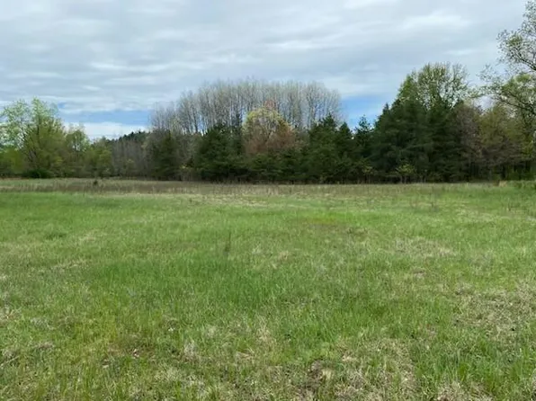 3878 E Two Mile Rd, White Cloud, MI 49349