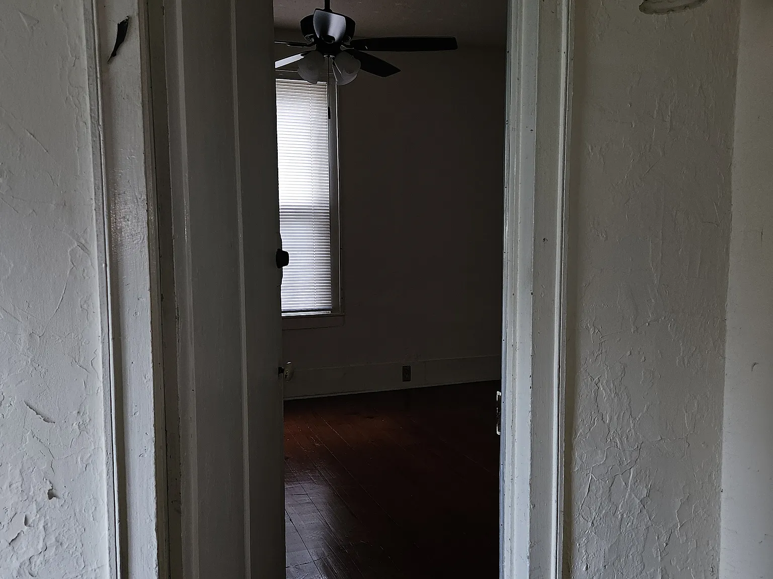 1 bed, $1,150 — Photo 3