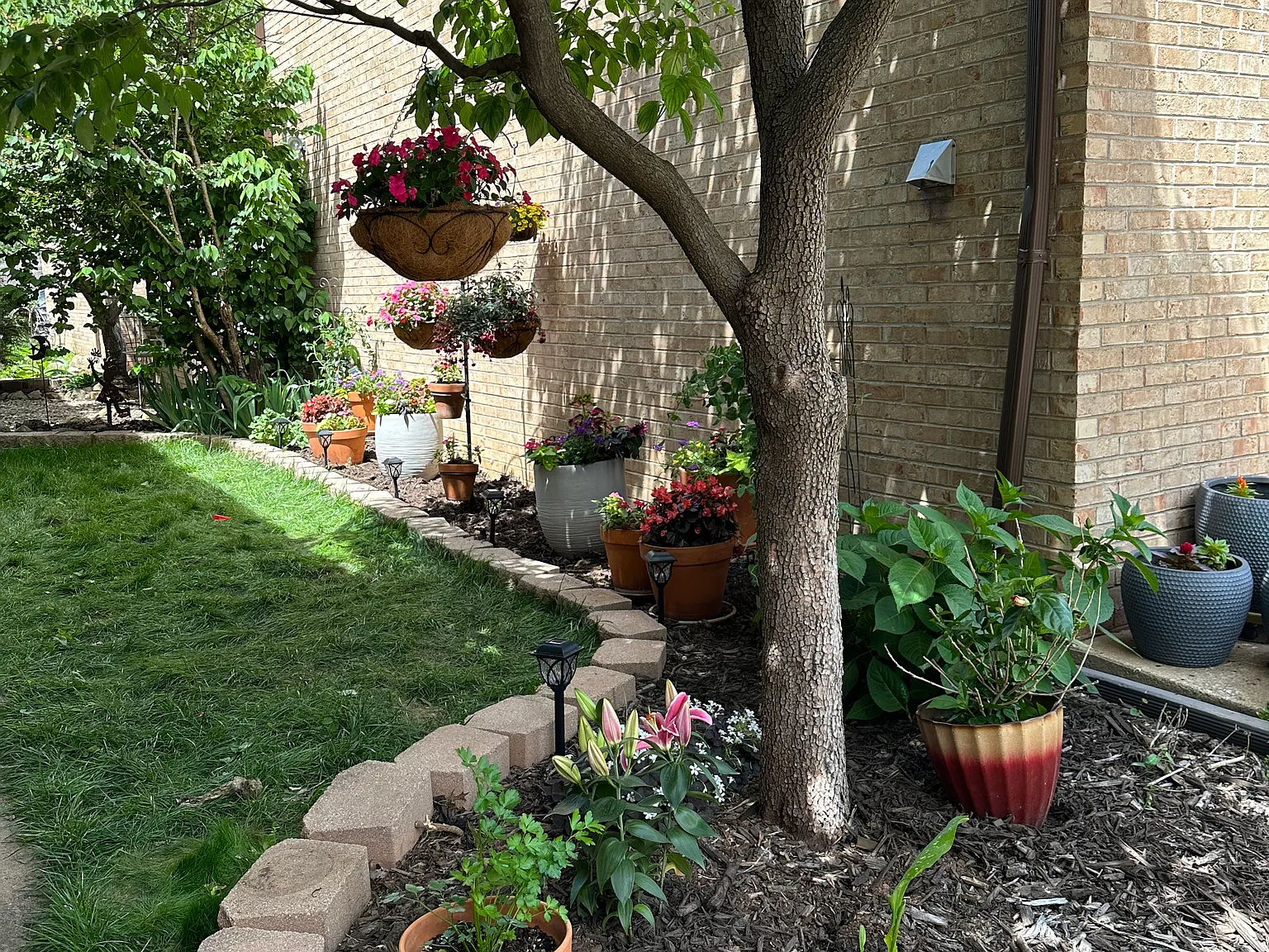 2 bed, 1.5 bath, 962 sqft, $1,550 — Photo 2