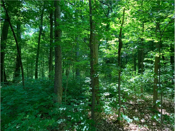 23490 N Elm Rd, Lincolnshire, IL 60069