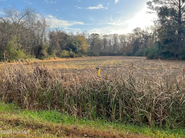 Tbd Nc-55, Grantsboro, NC 28529