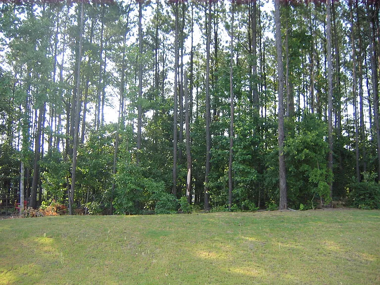 3600 Tupelo Trl — Photo 21