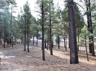 2340 Manzanita Ln #159, Big Bear City, CA 92314