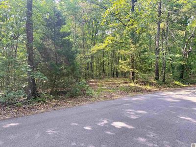 0 Beat Farmer Rd LOT 1, New Concord, KY, 42076