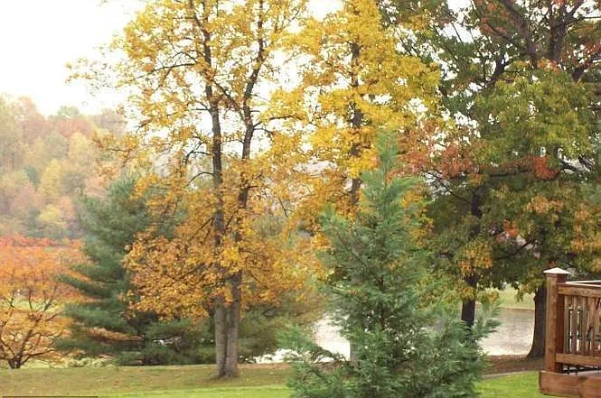 3859 Inverness Rd — Photo 23