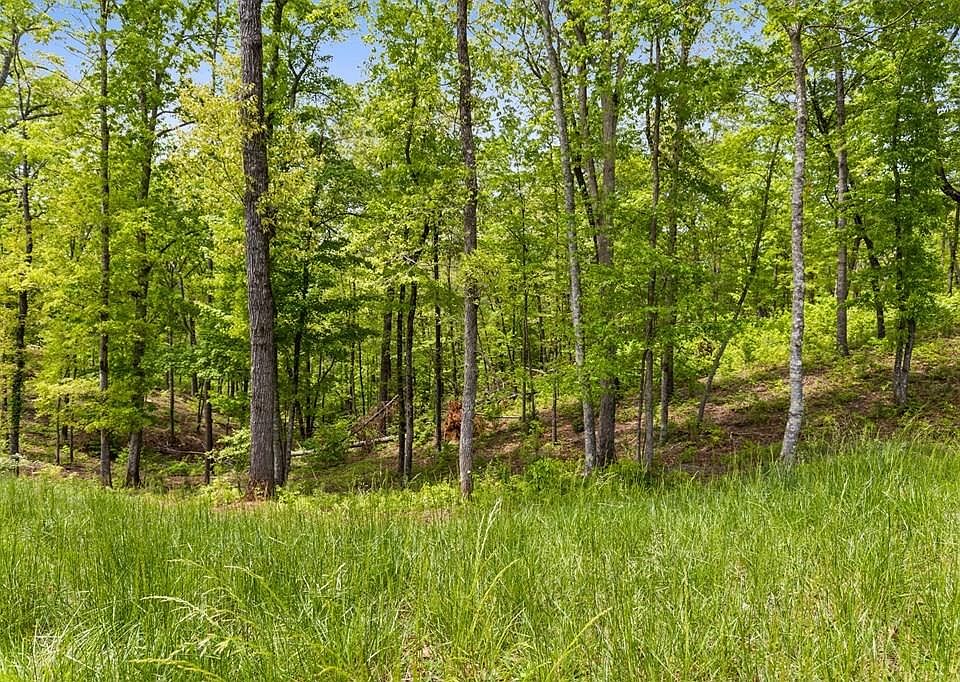 1st image of LOT 39 Jakes Landing Way