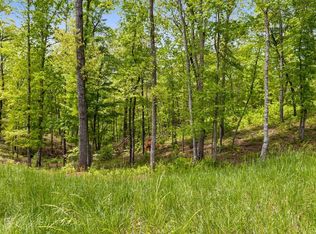 LOT 39 Jakes Landing Way, Ellijay, GA 30540