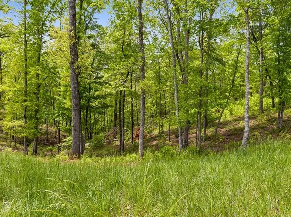 LOT 39 Jakes Landing Way, Ellijay, GA 30540