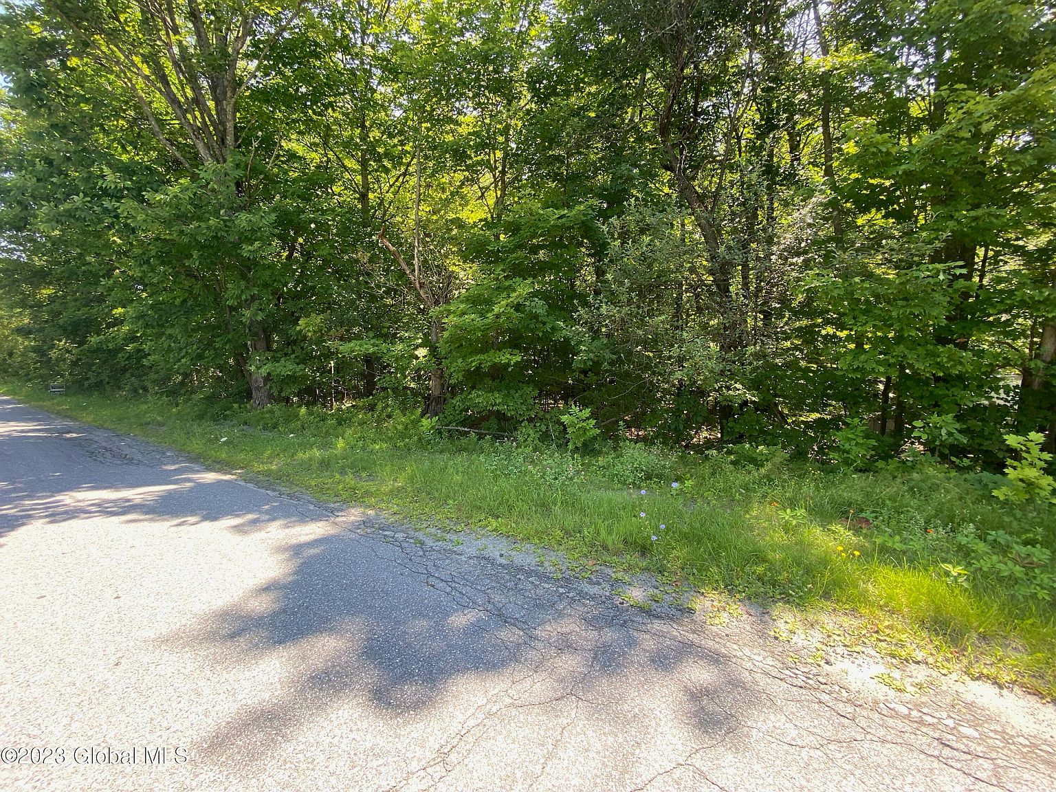 L0 JOYCE Road, Mineville, NY 12956 MLS 202321648 Zillow
