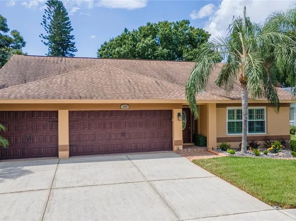 12915 Astorwood Pl, Riverview, FL 33579