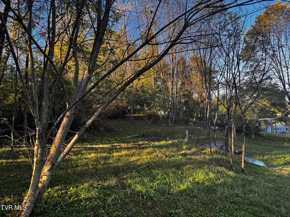 1244 Locust Grove Rd, Marion, VA 24354