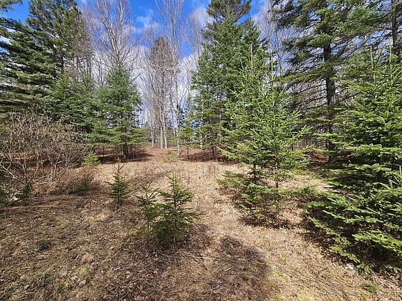 3rd image of Lot 9 Amber Road