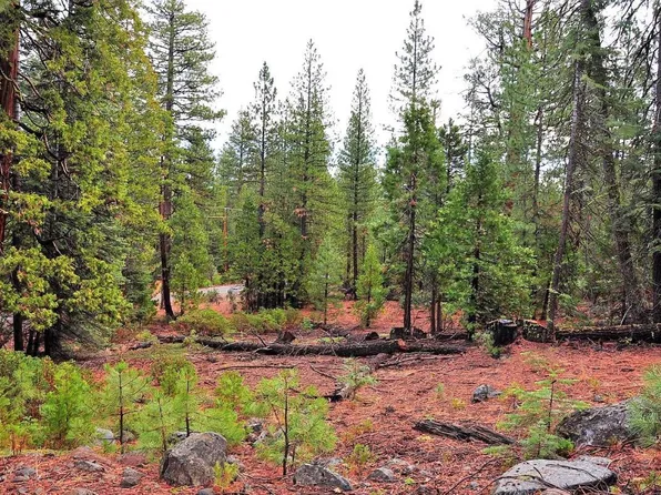 Canyon Ln, Alturas, CA 96101