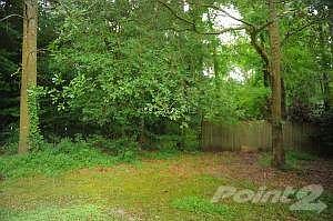 back yard wooded area