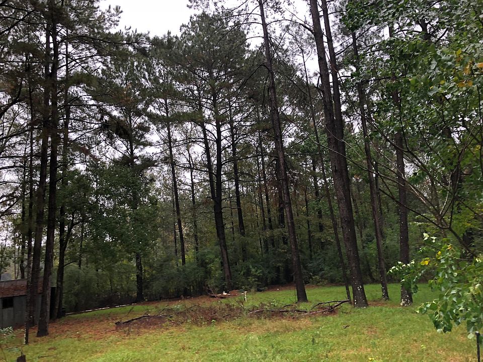 2nd image of 47 E L Loper Rd