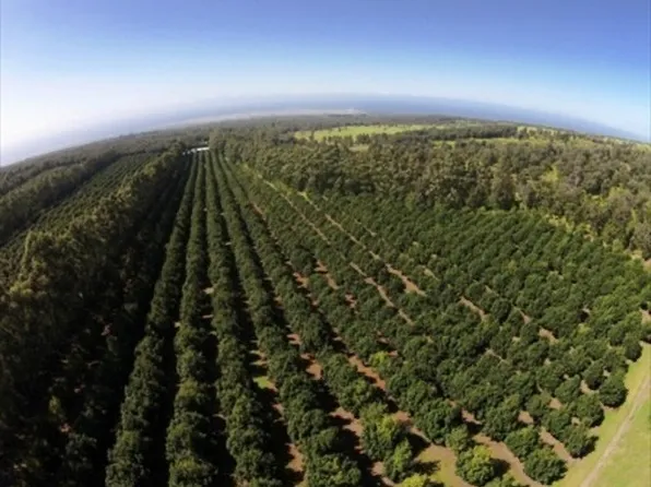 94-3220 Lorenzo Rd Lot 8, Naalehu, HI 96772