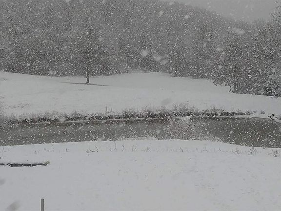 2nd image of 11982 State Highway 129