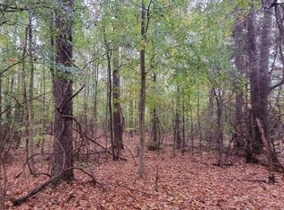 TRACT Lamars Mill Rd, Flovilla, GA 30216