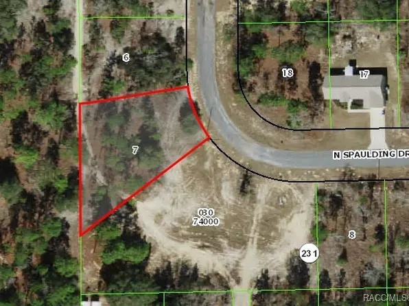 10330 N Spaulding Dr, Citrus Springs, FL 34433
