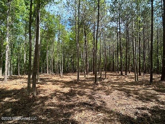4th image of PARCEL 4 Stovall Ln
