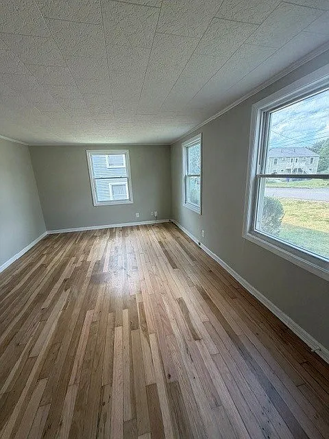 1 bed, 542 sqft, $1,995 — Photo 2