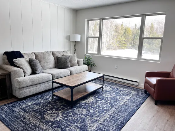 47470 Mill Rd, Houghton, MI