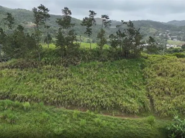 Km .2 Int Bo Helechal Pr #152, Barranquitas, PR 00794