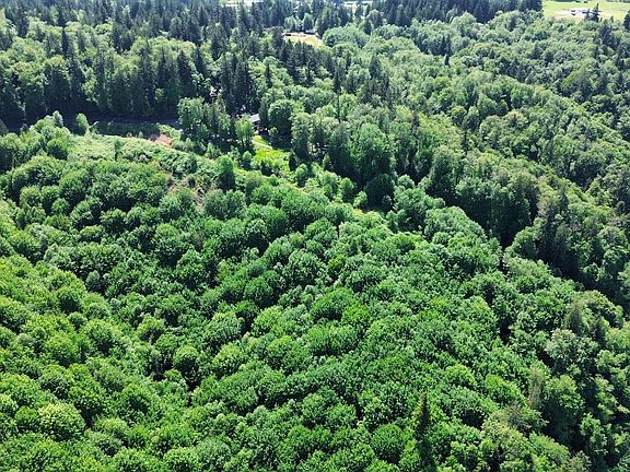 3rd image of 19538 Old Rainier Rd