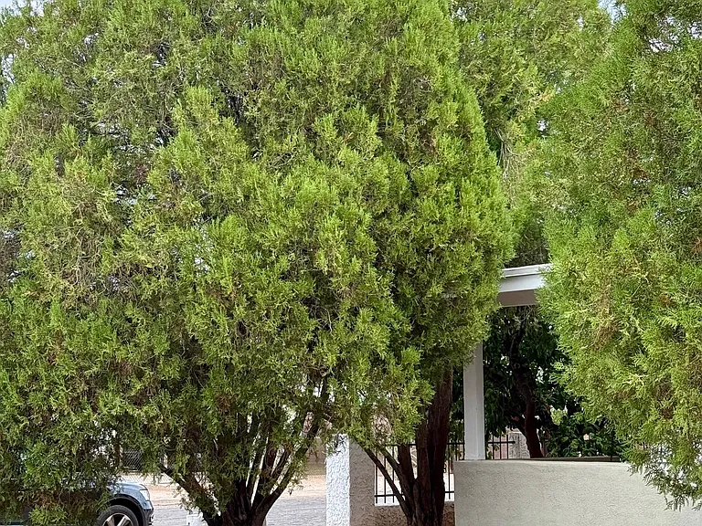 1546 N Magnolia Ave — Photo 14