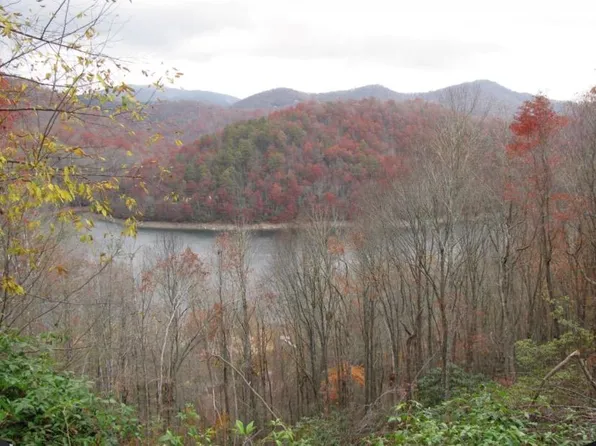 10 Viewforth Pl, Topton, NC 28781
