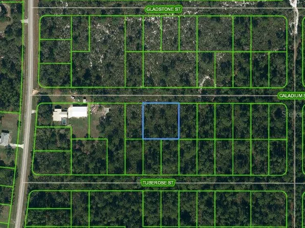 1411 Caladium St #6, Lake Placid, FL 33852