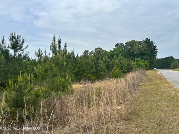 County Road 123, Philadelphia, MS 39350