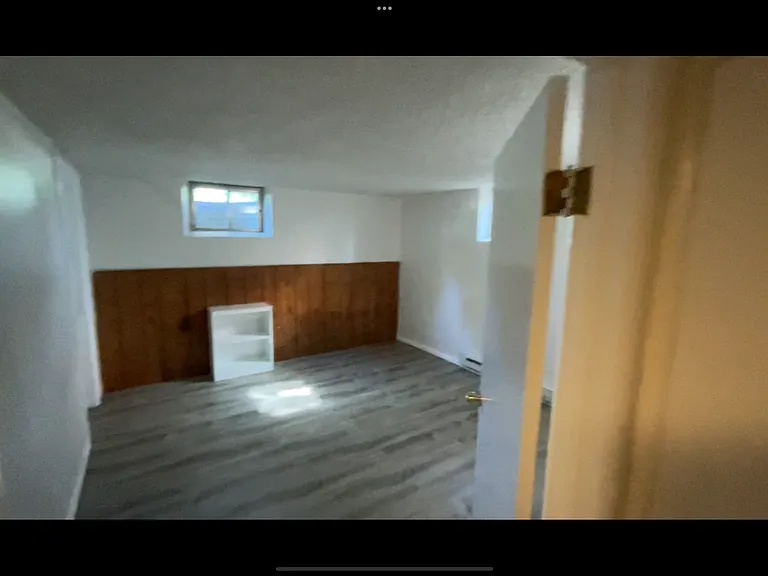 Basement Bedroom #2